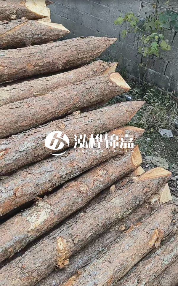 松木樁哪里能大量供應(yīng)？4米20公分松木樁價格是多少？
