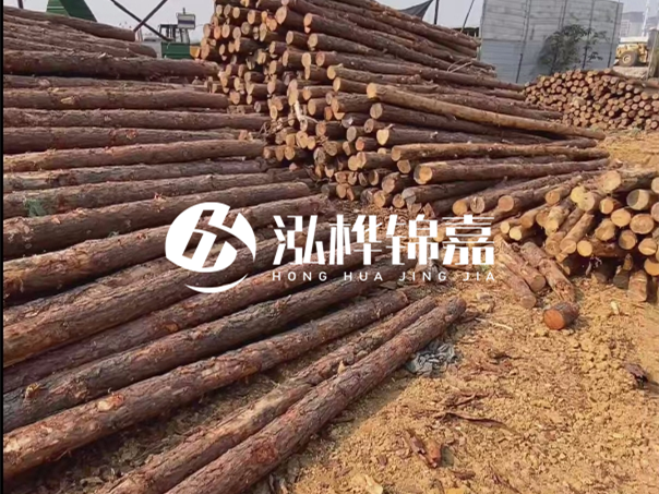 河道木樁施工遇到淤泥怎么辦？打多深才能防沖刷？