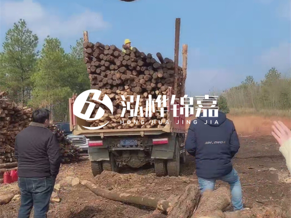 防腐木樁價(jià)格比普通木樁貴多少？防腐木樁有哪些處理方式？