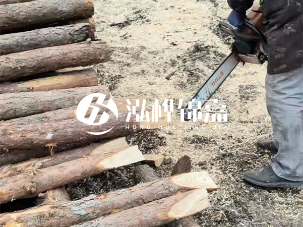 杉木樁批發(fā)廠家哪家好？產(chǎn)地直供渠道推薦！