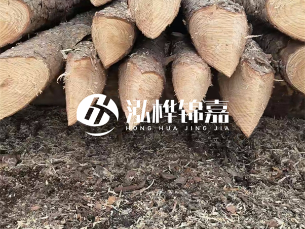 打樁木樁與鋼樁相比有哪些優(yōu)缺點(diǎn)？如何進(jìn)行后期維護(hù)？