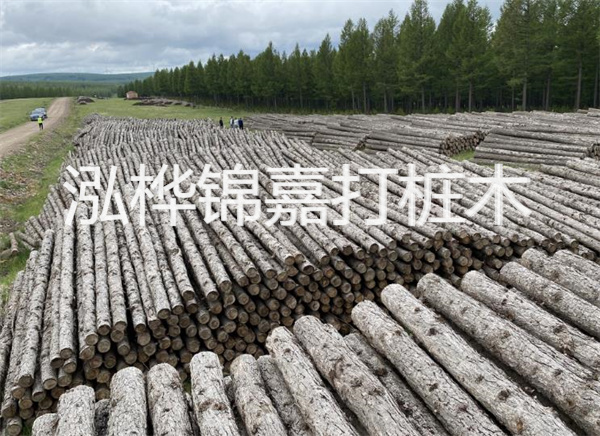 河道打木樁施工方案怎么寫，河道打木樁施工方案范本