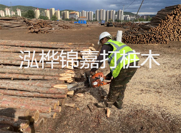 污水沉淀池淤泥清理設(shè)備，污水處理池清淤泥施工方案