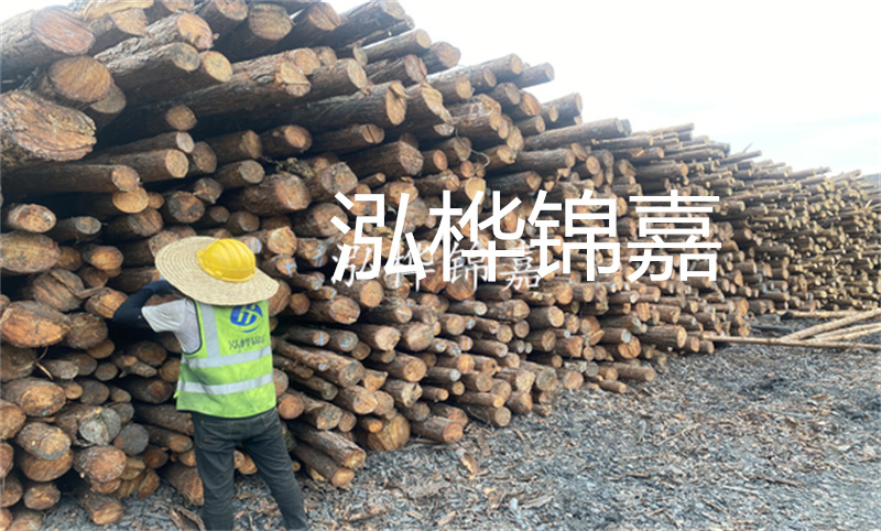 選擇松木樁15 20，打造穩(wěn)固的基礎(chǔ)！
