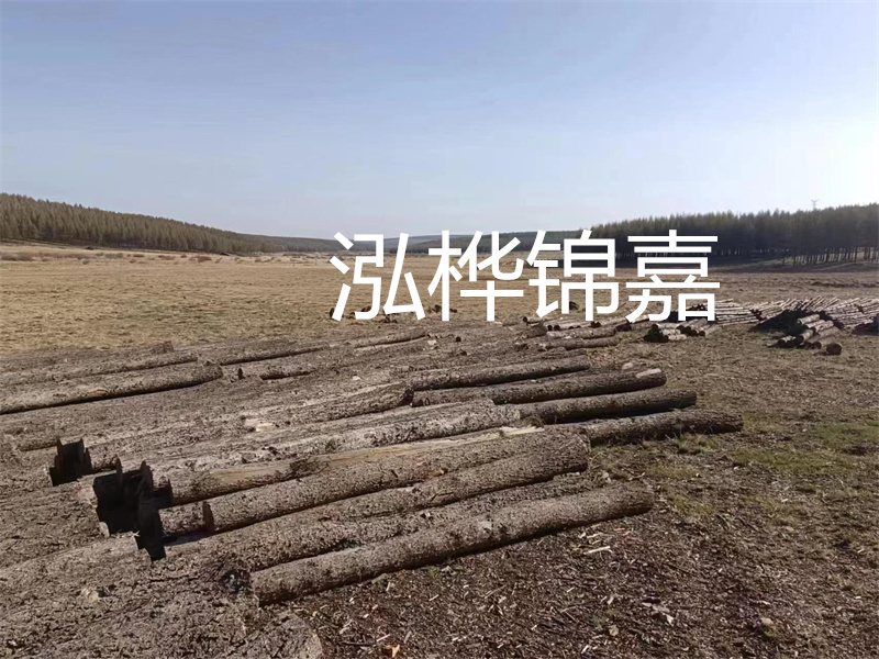 選擇什么木頭的床最好？