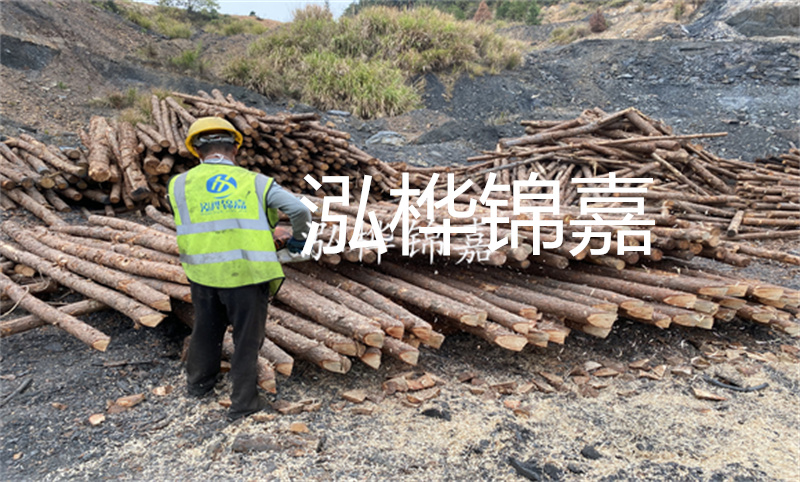 廣西哪里買(mǎi)松木樁？